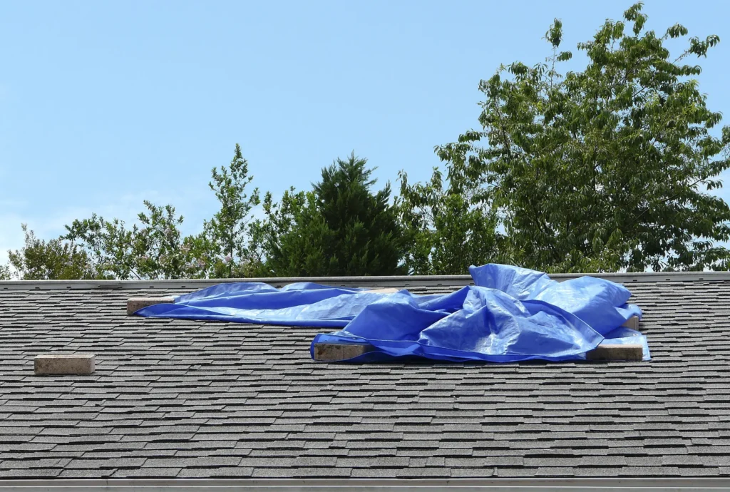 tarp-covering-roof-leak