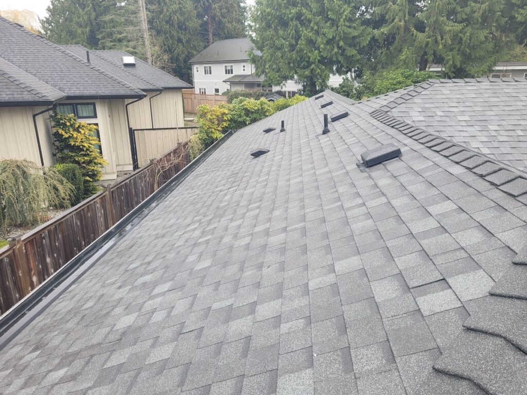 shingle roofing