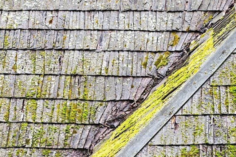 Leaky Roofs Cause Mold