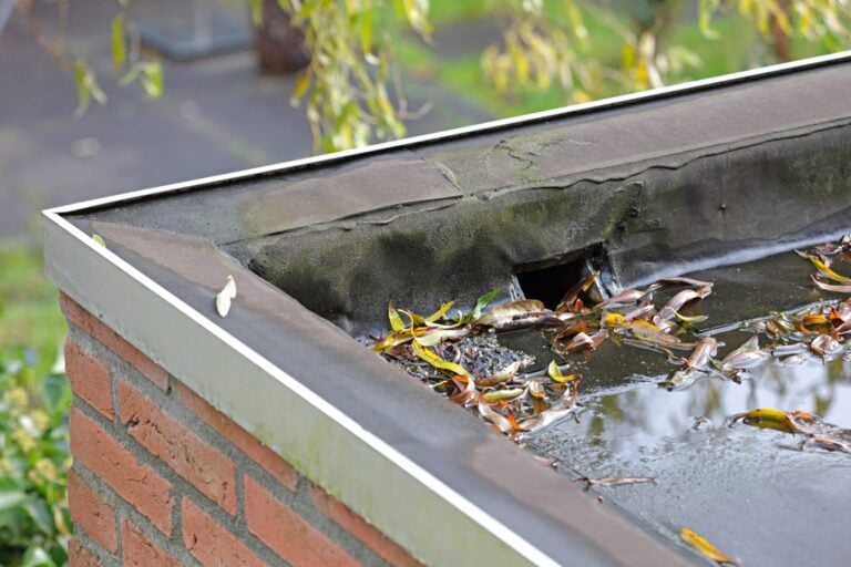 Flat Roof Drain