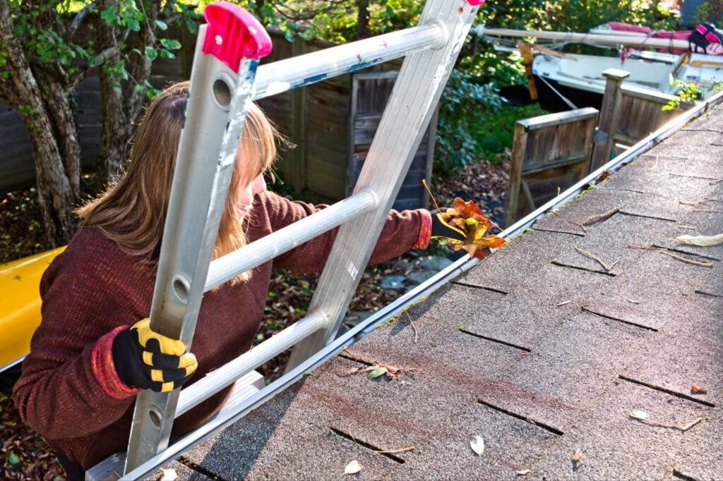 Gutter Cleaning Services