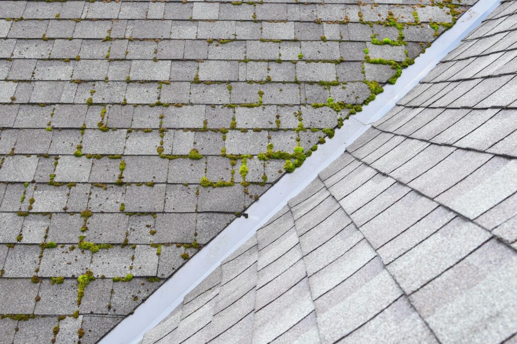 signs you need roof cleaning