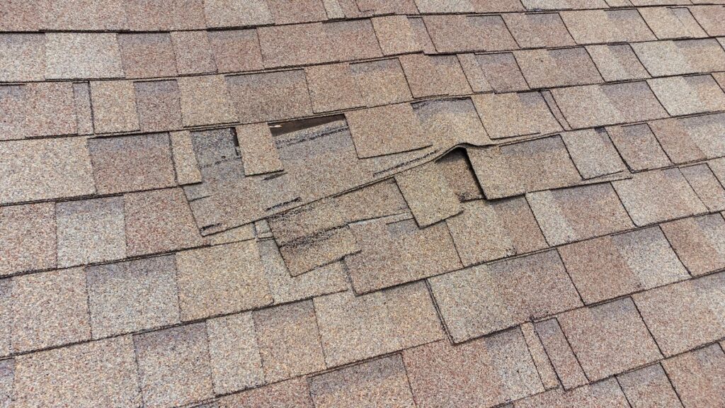 Roof Shingles damaged and in need of repair