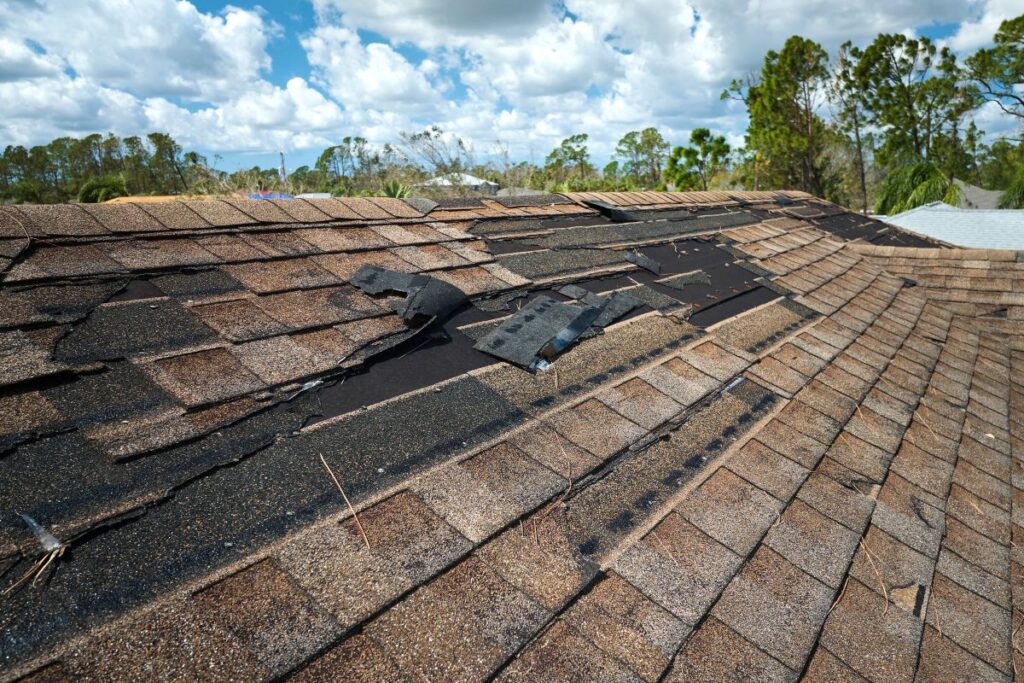 close-up damaged shingles