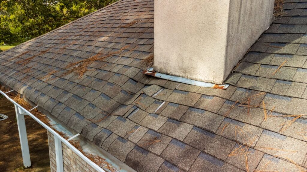 roof with water damage