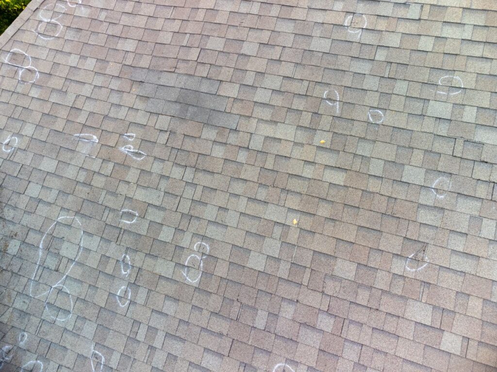 shingle roof showing hail damage