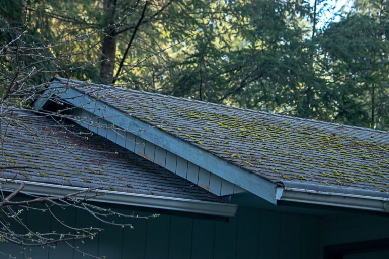 black streaks on roof green moss shingles