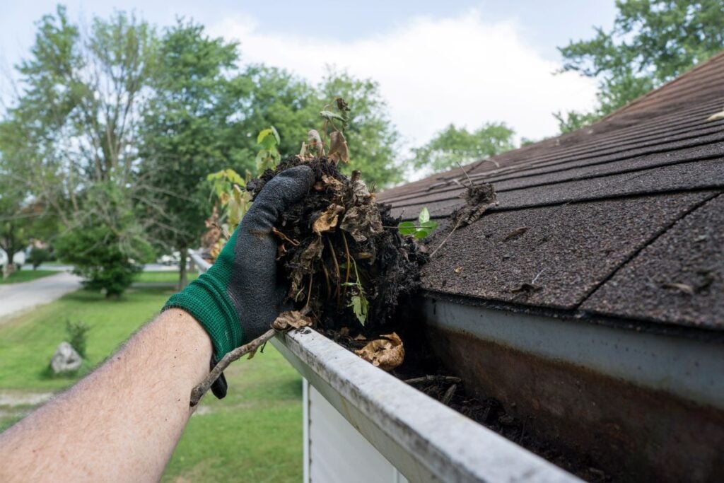 black streaks on roof glove cleaning dirty water gutter