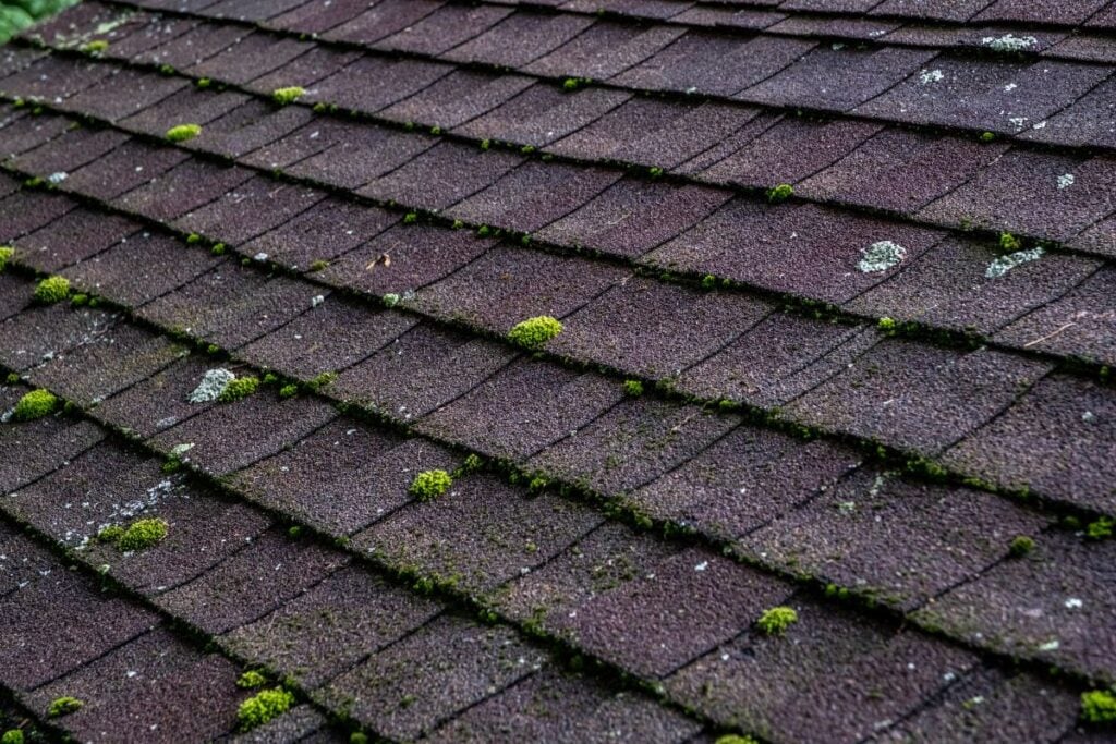 Weathered Asphalt Roof Shingles with Moss and Lichen Growth