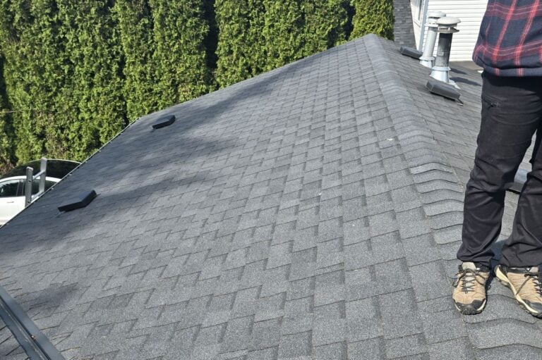 Roof being inspected